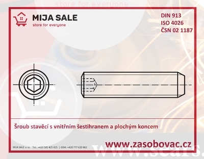 DIN 913 - M20x 80 - A2 nerez - Šroub stavěcí s vnitřním šestihranem a plochým koncem - 1